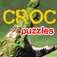 Crocodile Puzzles